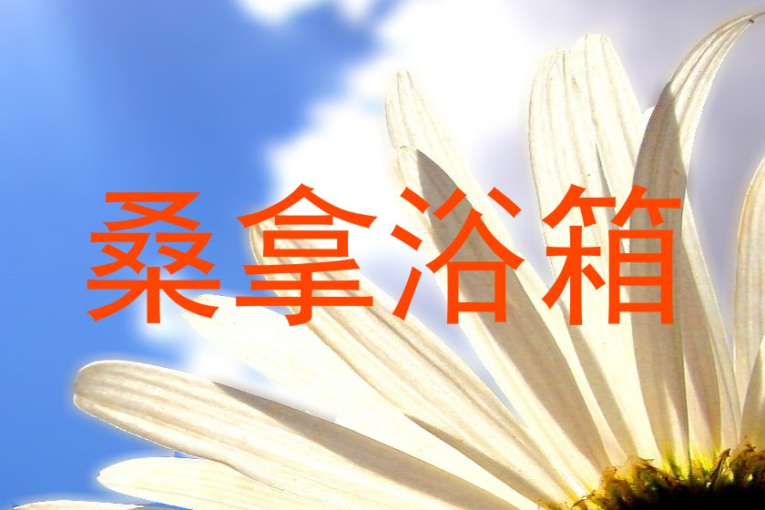 桑拿浴箱