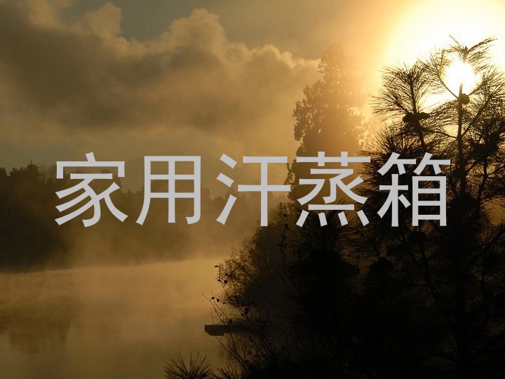 家用汗蒸箱