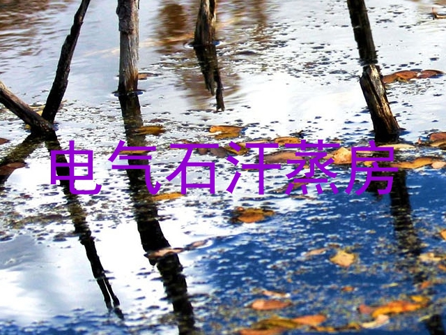 电气石汗蒸房