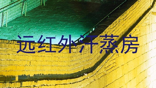 远红外汗蒸房
