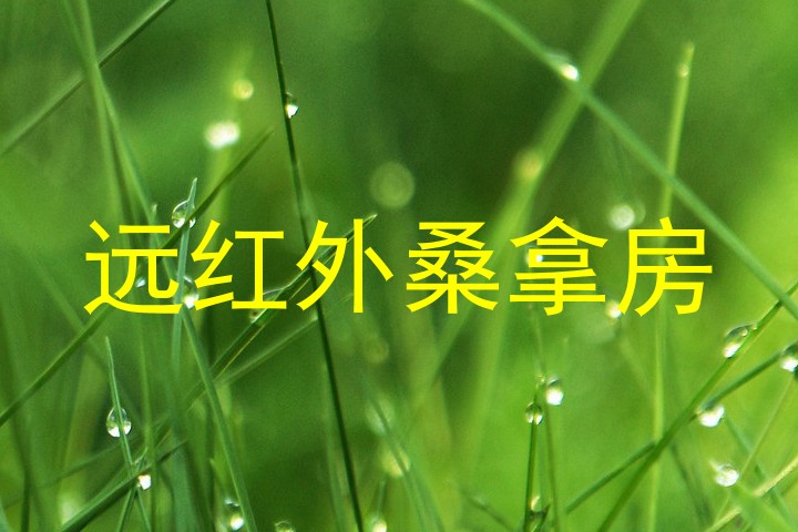 远红外桑拿房