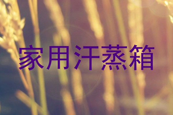 家用汗蒸箱