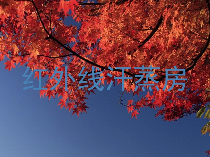 红外线汗蒸房