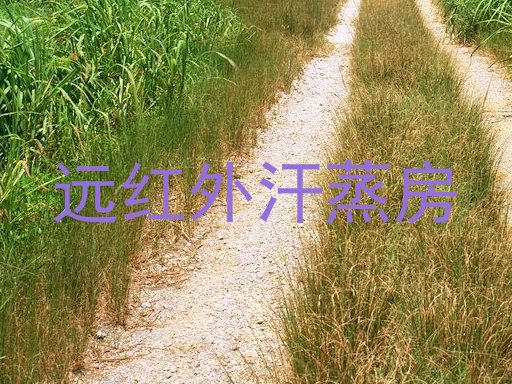 远红外汗蒸房