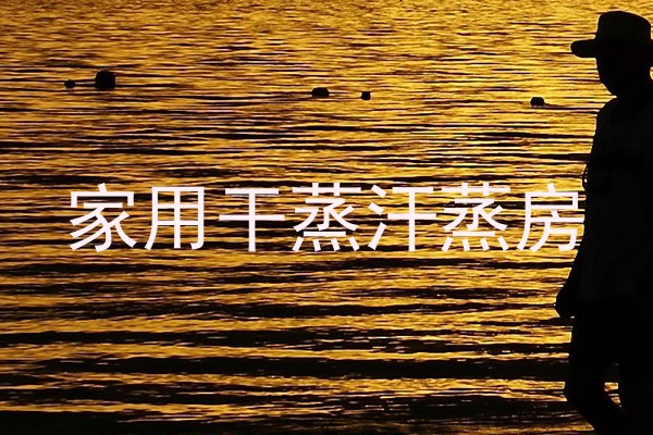 家用干蒸汗蒸房