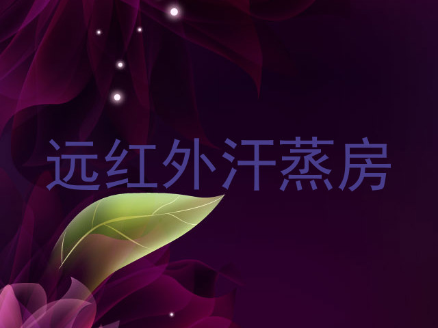 远红外汗蒸房
