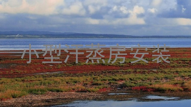小型汗蒸房安装
