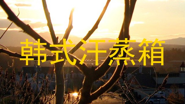 韩式汗蒸箱