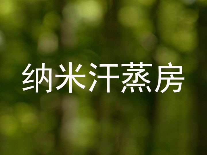 纳米汗蒸房