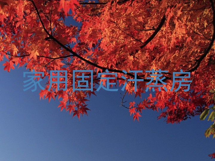 家用固定汗蒸房