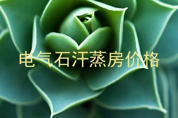 电气石汗蒸房价格