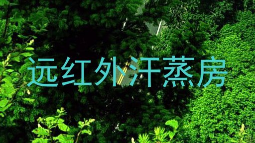 远红外汗蒸房