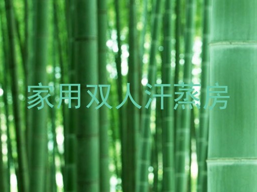 家用双人汗蒸房