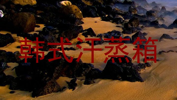 韩式汗蒸箱