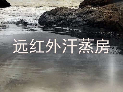远红外汗蒸房