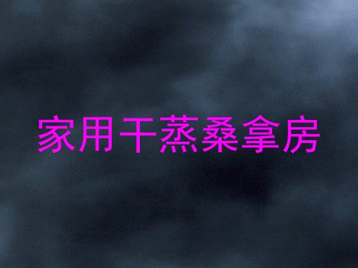 家用干蒸桑拿房