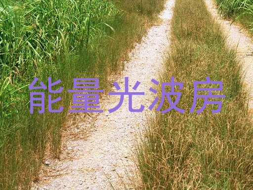能量光波房