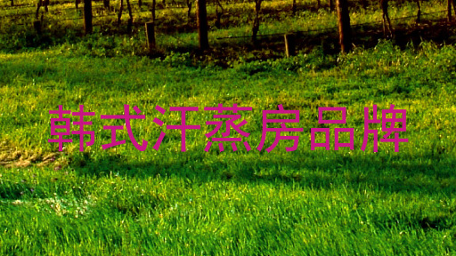 韩式汗蒸房品牌