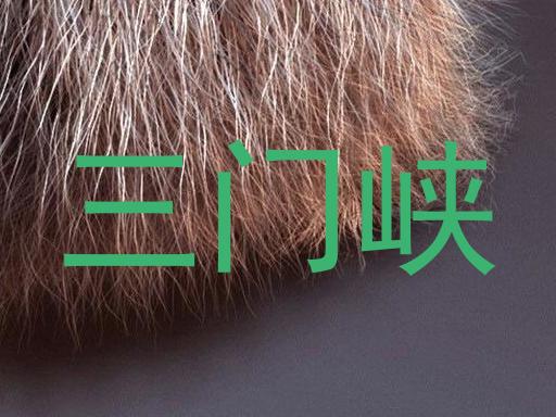 三门峡