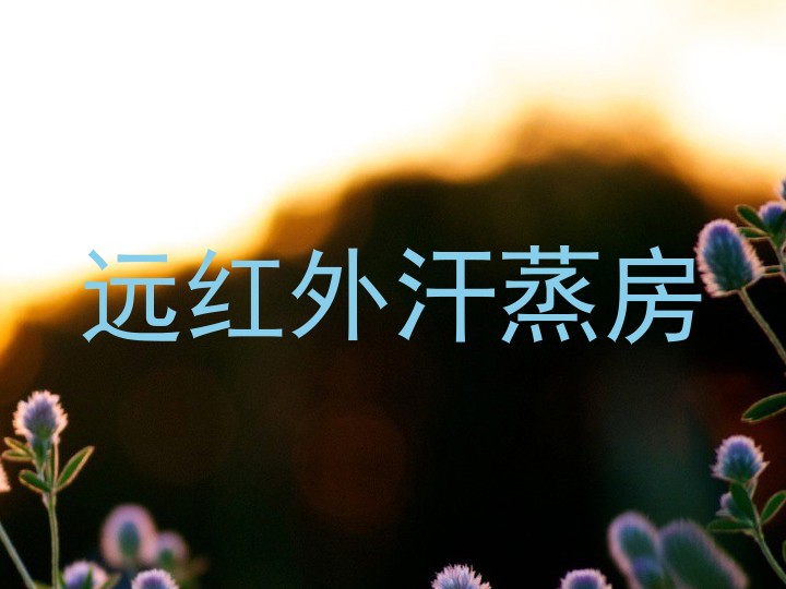 远红外汗蒸房