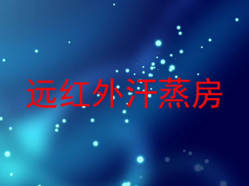 远红外汗蒸房