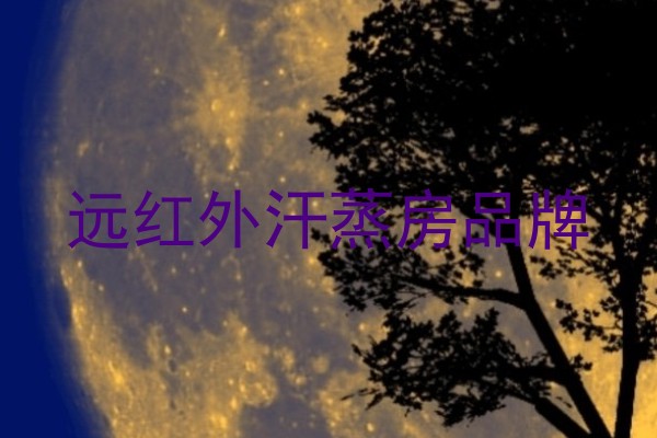远红外汗蒸房品牌