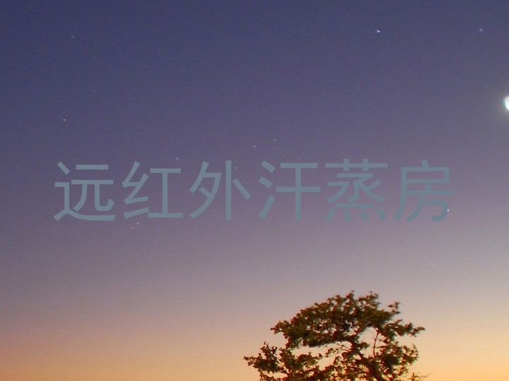 远红外汗蒸房
