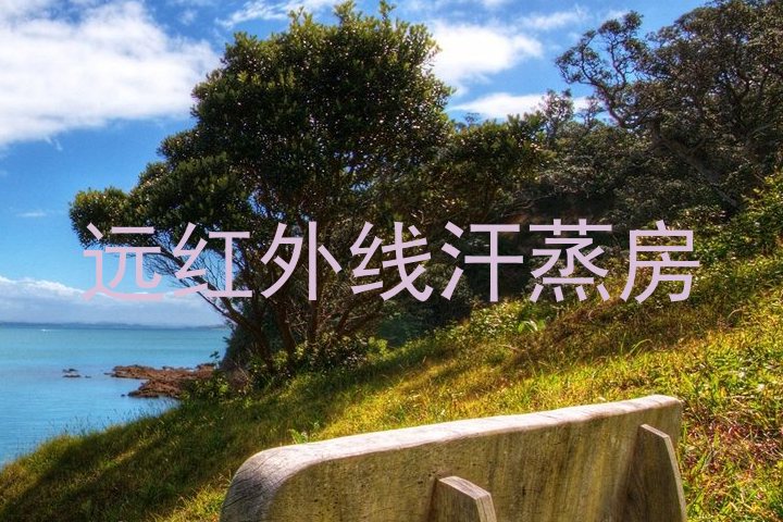 远红外线汗蒸房