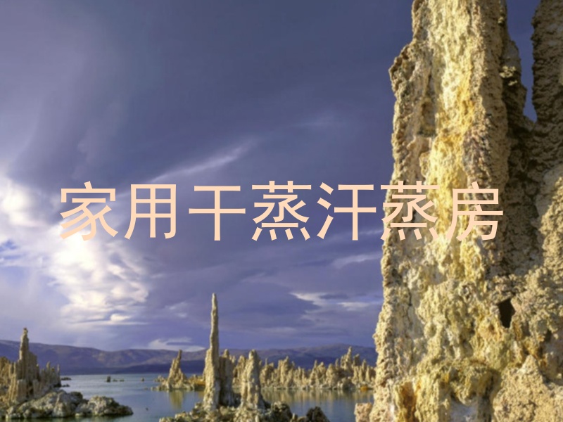 家用干蒸汗蒸房