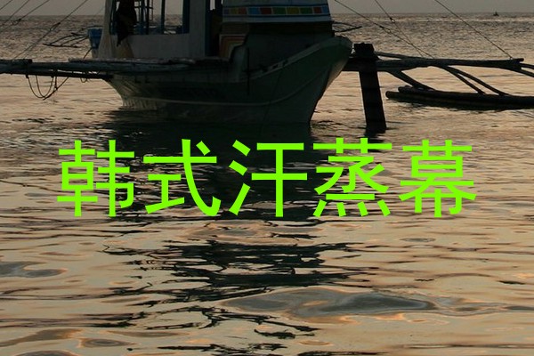韩式汗蒸幕