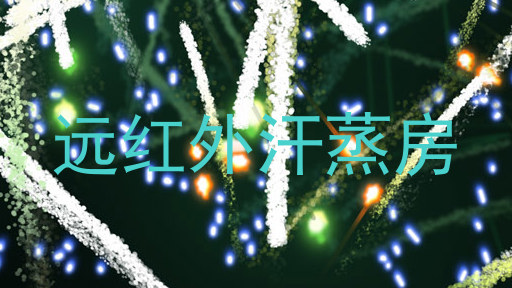远红外汗蒸房