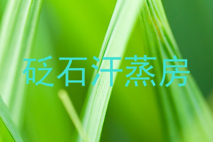 砭石汗蒸房