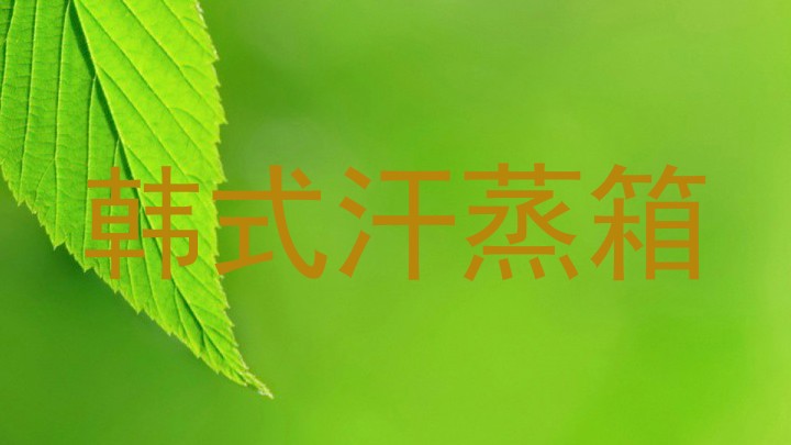 韩式汗蒸箱