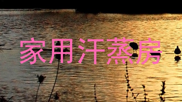 家用汗蒸房