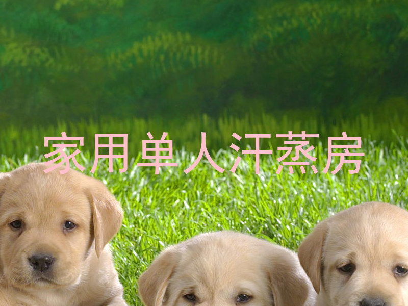 家用单人汗蒸房