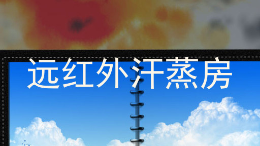 远红外汗蒸房