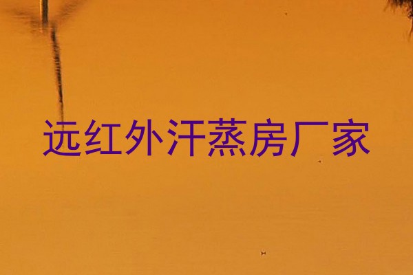 远红外汗蒸房厂家