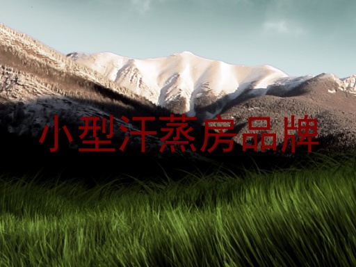 小型汗蒸房品牌