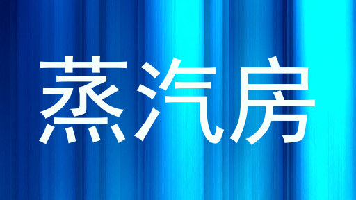 蒸汽房