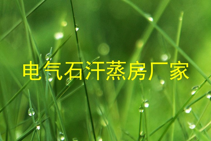 电气石汗蒸房厂家