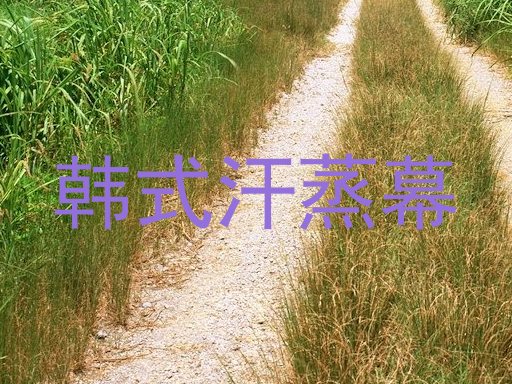 韩式汗蒸幕