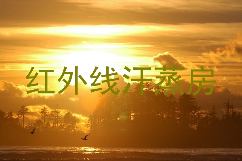 红外线汗蒸房