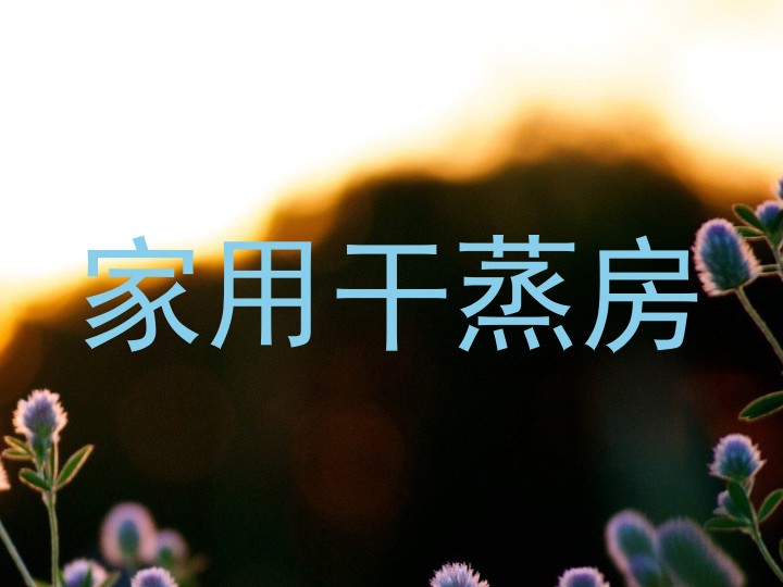 家用干蒸房