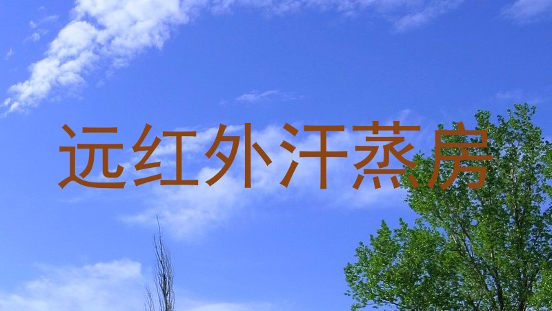 远红外汗蒸房