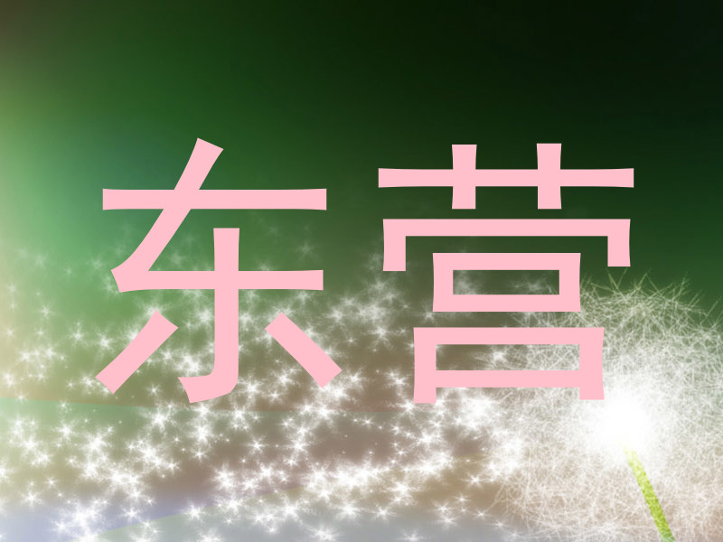 东营