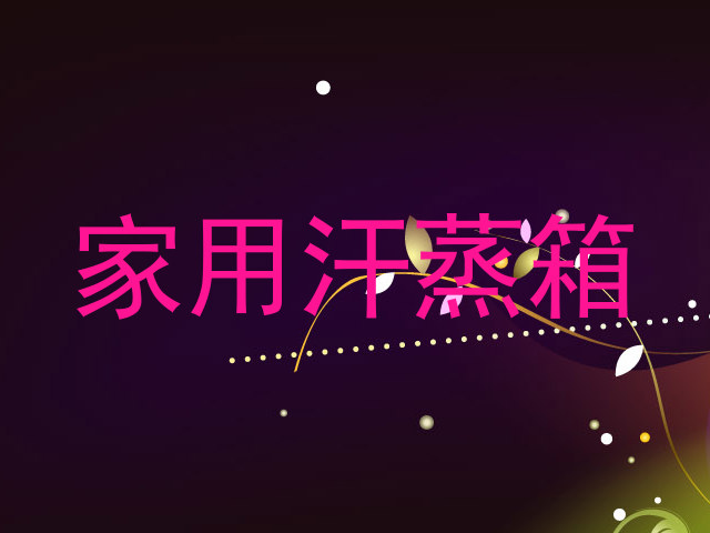 家用汗蒸箱