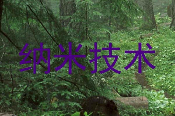 纳米技术