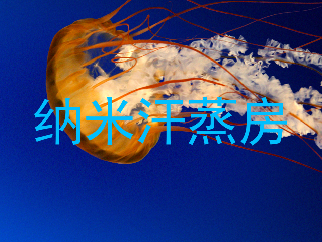 纳米汗蒸房