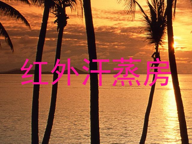红外汗蒸房