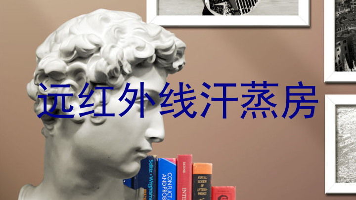 远红外线汗蒸房